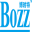 Bozztek logo